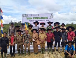 Kolaborasi Satgas Yonzipur 5/ABW Menuju Ketahanan Pangan Berkelanjutan Melalui Penanaman Jagung Perdana di Perbatasan
